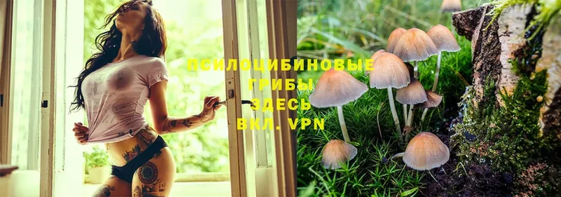 Псилоцибиновые грибы Magic Shrooms Кирс